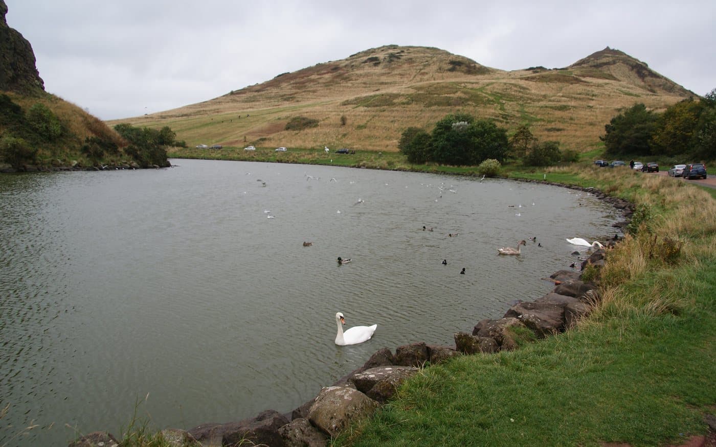 Dunsapie Loch with swans and ducks on the water, cars parked along the roadside on the right, and the grassy slopes of Arthur's Seat rising directly behind