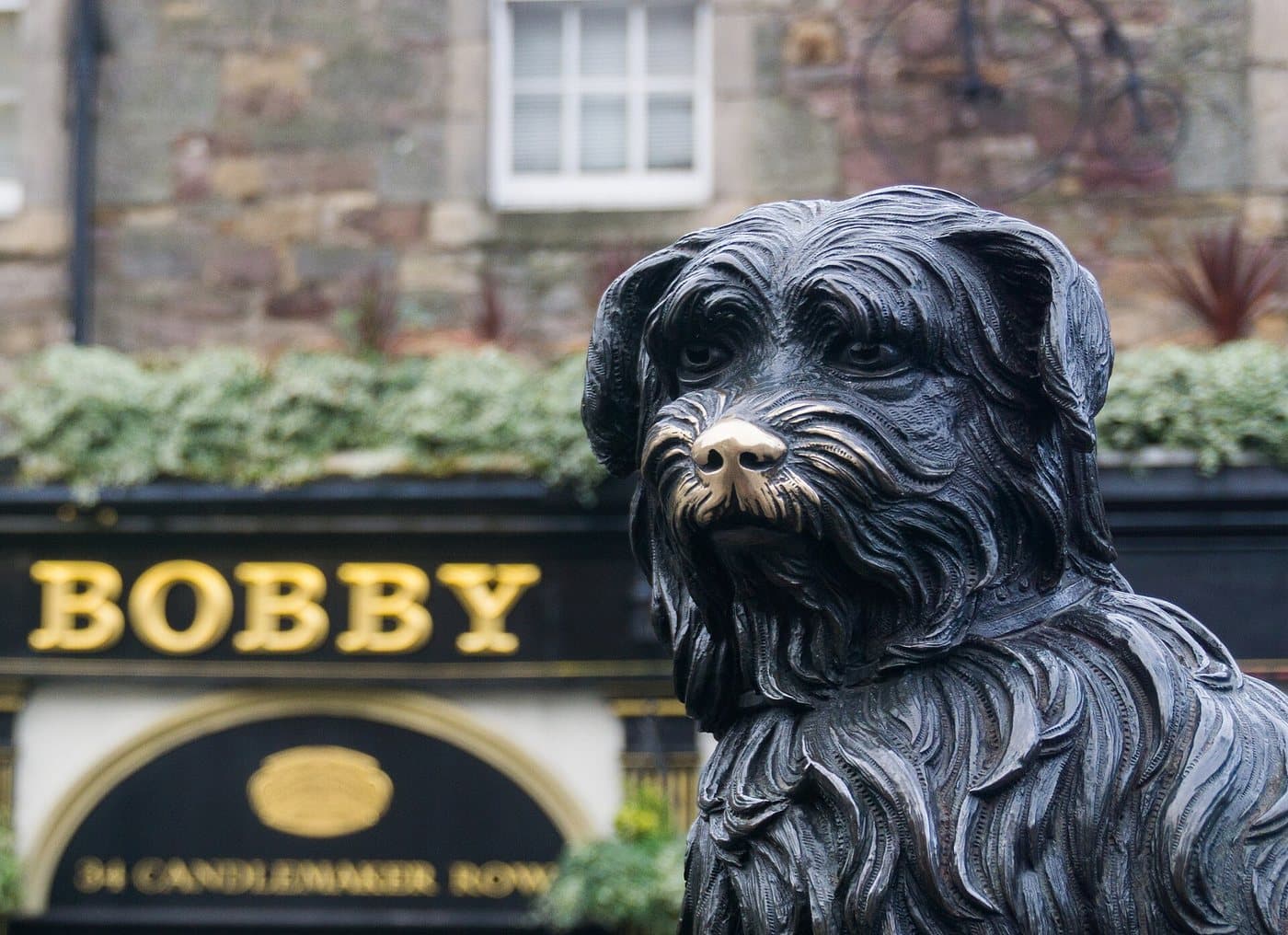 The bronze Greyfriars Bobby statue in Edinburgh, its nose worn to bright gold against the dark patinated bronze, with the Bobby pub sign behind